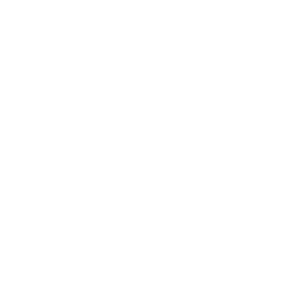 DigiToll